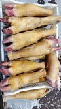 Продаю Ноги говяжьи зам от 100 кг  в Ижевске  доставка из г.Ижевск