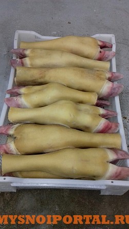 Продаю Ноги говяжьи зам, от 100 кг в Ижевске Ижевск - изображение 1