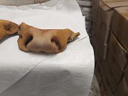 Продаю Уши говяжьи зам от 100 кг  в Ижевске  доставка из г.Ижевск
