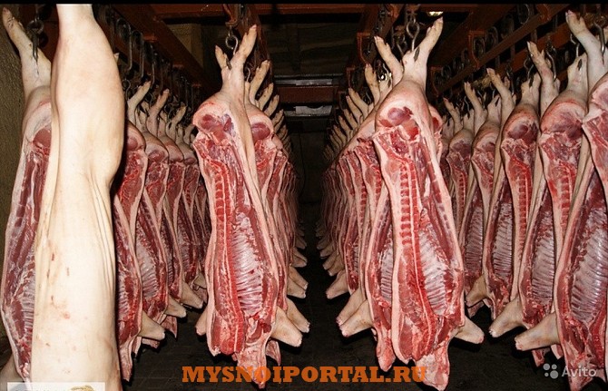Свинина Полу Тушками Набережные Челны - изображение 1