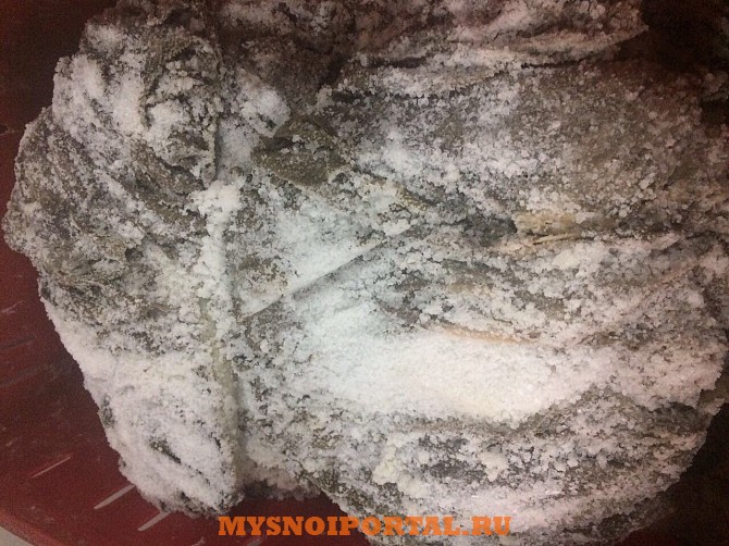 Продаю Книжка говяжья зам, от 100 кг в Казани Казань - изображение 1