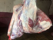 Мясо оптом (халяль) Казань