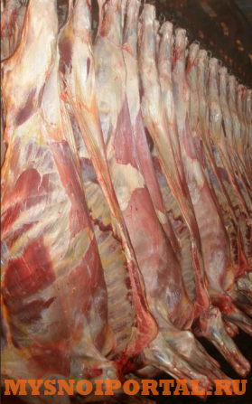 Куплю: говядину на кости тощак и зоологический брак Санкт-Петербург - изображение 1