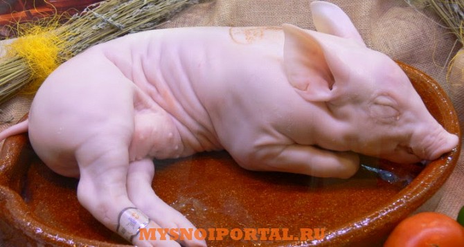 Поросят молочных куплю Тольятти - изображение 1