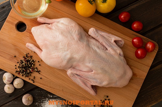 Утка тушка разделка куплю Тольятти - изображение 1