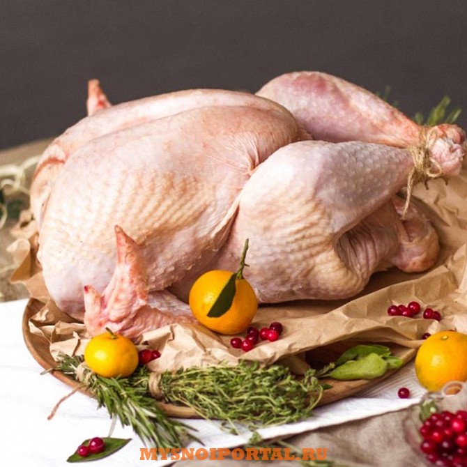 Индейка тушка разделка куплю Тольятти - изображение 1