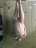 Индейка тушка доставка из г.Самара