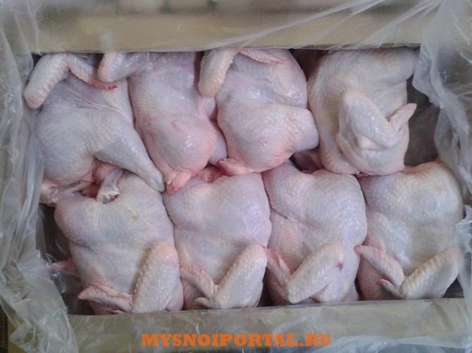 Продаю Куриные Тушки Халяль, РФ н/к, Охл/Зам, в Самаре Самара - изображение 1