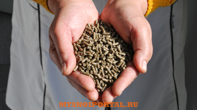 Предлагаем: комбикорма для кроликов Гагарин - изображение 1