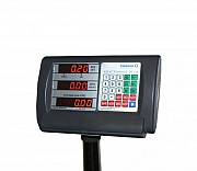 Напольные торговые весы Foodatlas 300кг/100гр Втн-300 доставка из г.Челябинск