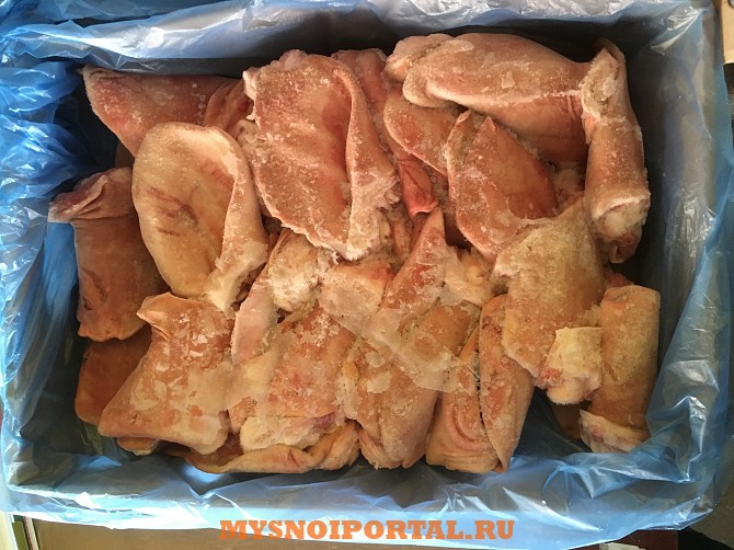 Уши свиные Россия Москва - изображение 1