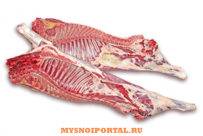 Предлагаем: говядину молодняк полу туши Ярославль - изображение 1