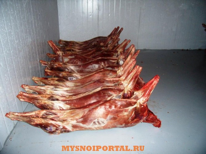 Оленина из Надыма уже в Спб Санкт-Петербург - изображение 1