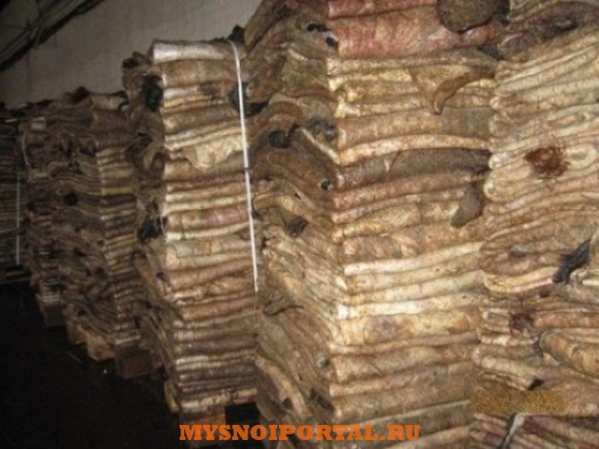 Продаем шкуры Крс Омск - изображение 1