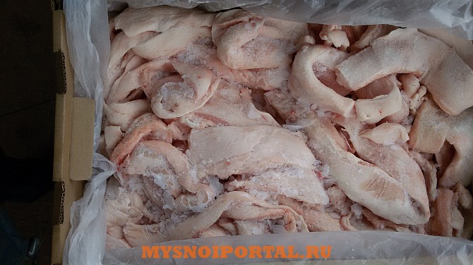 Шпик свиной боковой Москва - изображение 1