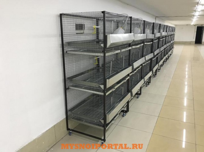 Клетки для бройлеров и кроликов Москва - изображение 1