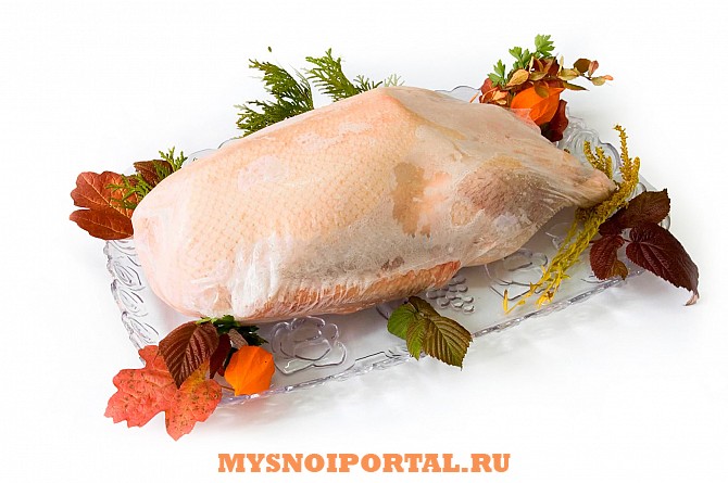 Тушки гусей Туймазы - изображение 1