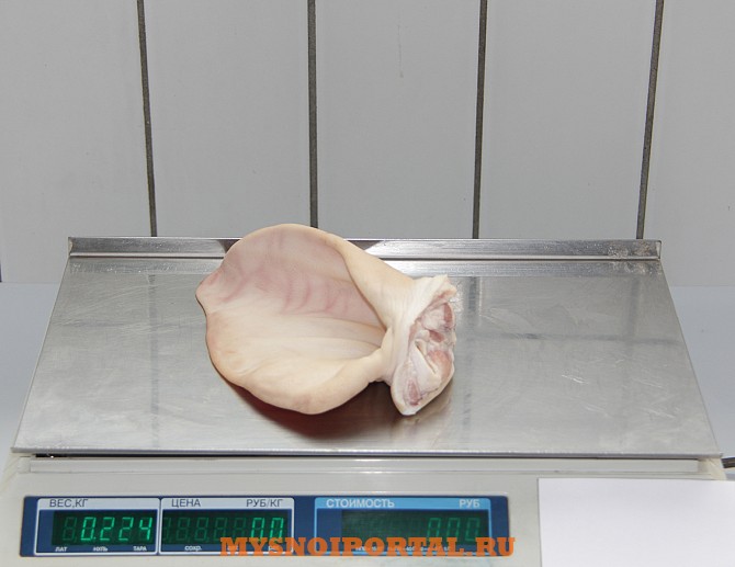 Продам субпродукты свиные Москва - изображение 1