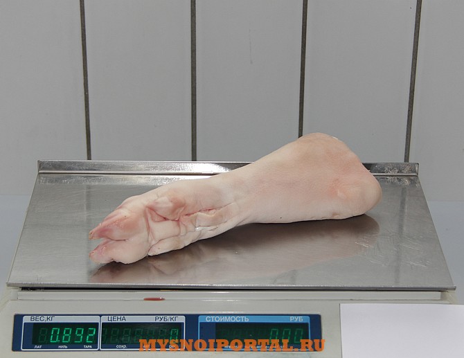 Продам ноги свиные задние Москва - изображение 1