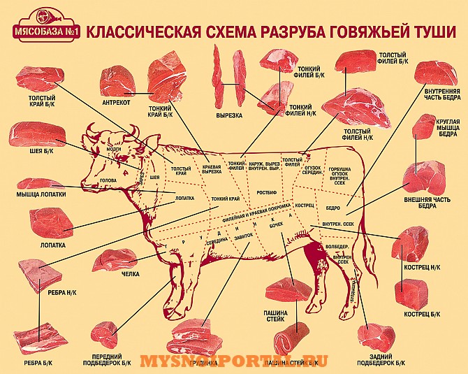 Куплю: Говядину\свинину\баранину Новосибирск - изображение 1