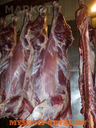 Куплю: туши говядину Екатеринбург - изображение 1