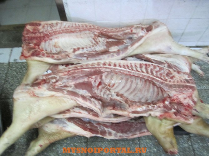 Свинина оптом полутуши 1. 2.3. категория Екатеринбург - изображение 1