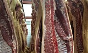Мясо (свинина) оптом от производителя доставка из г.Воронеж