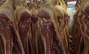 Мясо (свинина) оптом от производителя доставка из г.Воронеж