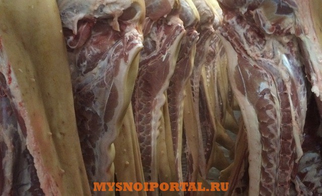 Мясо (свинина) оптом от производителя Воронеж - изображение 1