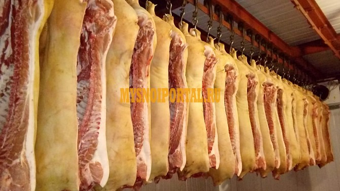 Свинина в полутушах Нефтекамск - изображение 1