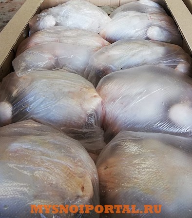 Продам мясо птицы Оренбург - изображение 1