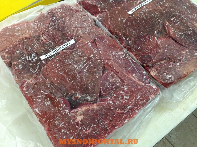 Говядина блочная в/с Курск - изображение 1