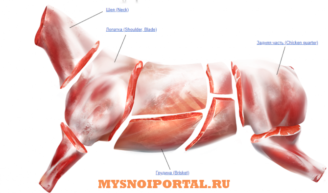 Предлагаем: Конину Челябинск - изображение 1