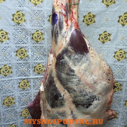 Предлагаем: Задняя Часть Говяжья Москва - изображение 1