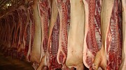 Свинина П/т оптом от 20 тонн Казань
