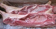 Свинина П/т оптом от 20 тонн Казань