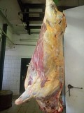Мясо говядины на кости бык, корову охлд/зам Казань
