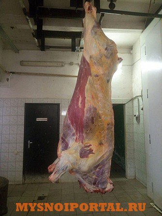 Мясо говядины на кости бык, корову охлд/зам Казань - изображение 1