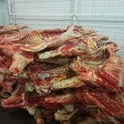 Продаю мясо говядина п/т доставка из г.Барнаул