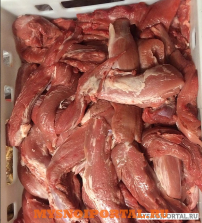 Куплю: Свинину (охл) Рязань - изображение 1