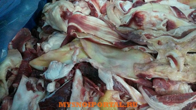 Куплю: тех. зачистку говяжью Одинцово - изображение 1