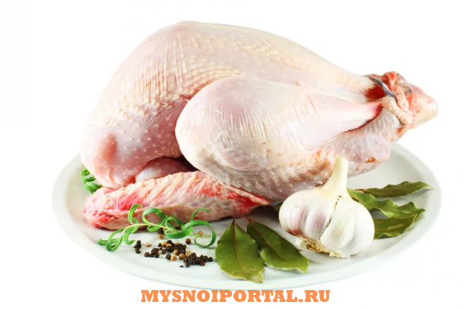 Куплю: тушку индейки 5-6 кг Нижний Новгород - изображение 1