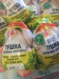 Продам тушку ЦБ доставка из г.Оренбург