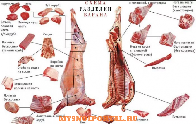 Предлагаем: мясо баранину Красноярск - изображение 1