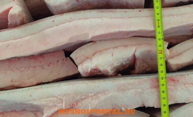 Куплю: шпик свиной на шкуре Гулькевичи - изображение 1