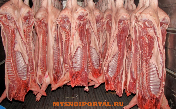 Куплю: свинину (полу туши) 1-2 кат. охл., зам Санкт-Петербург - изображение 1