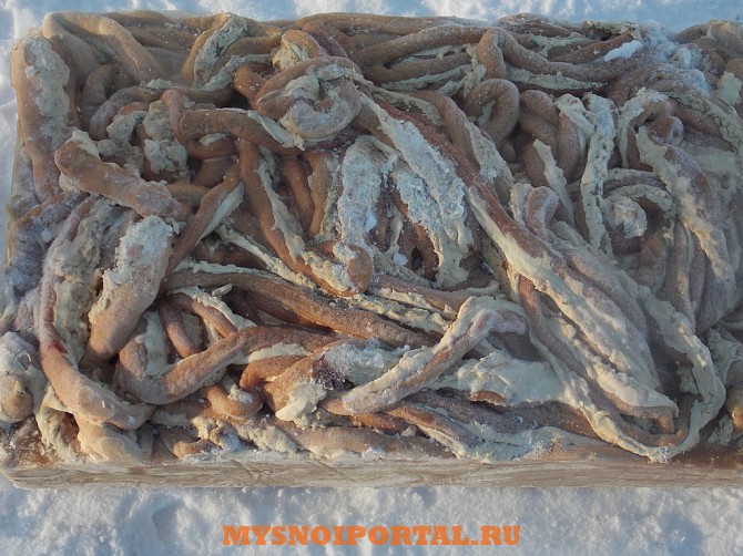 Куплю: чрево (кишки) для колбас Псков - изображение 1