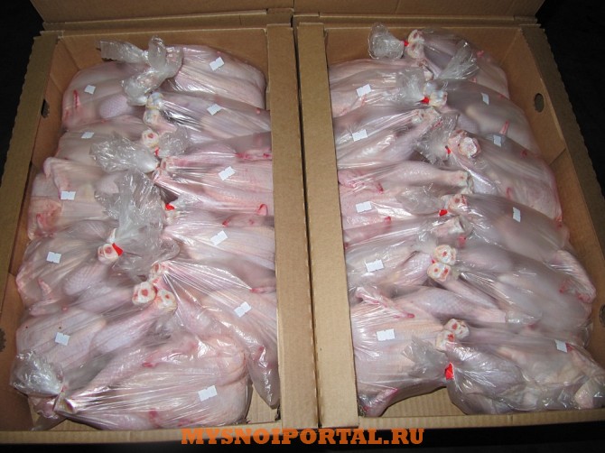 Цыпленок бройлера Ржев - изображение 1