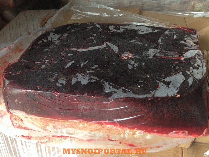 Куплю: кровь говяжью зам. 20т Москва - изображение 1