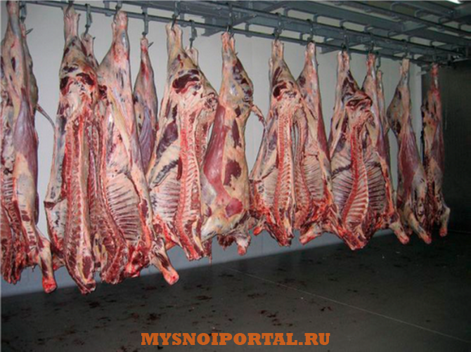 Говядина, на кости 1 категория полутуши и четвертины Самара - изображение 1